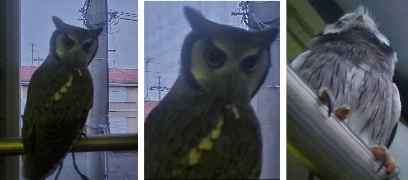 投稿写真のワンシーン