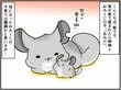 チンチラベビーは天使の寝顔...睡眠不足の育児がスタート！【チンチライフ66話】
