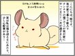 保護チンチラの福くん。安心できる場所で顔つきも穏やかに【チンチライフ87話】 