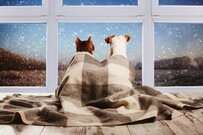 基礎年金・厚生年金「みんなの月額、実際はどのくらい？」