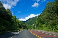 北海道・釧路での「通勤風景」を見てみると…道路を横断する「ツルの親子」に反響が集まる
