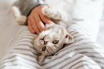 【50代おひとりさまの貯蓄】中央値が100万円増の理由は？二極化する貯蓄に今からできる備え3選