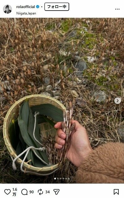 ローラのInstagram投稿