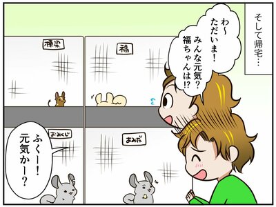チンチライフ180話