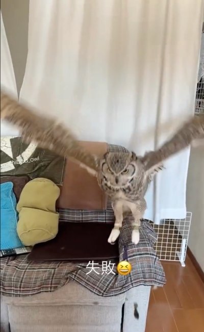 投稿写真