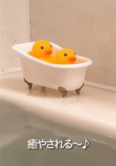 セリアとダイソーの商品を使ったDIY