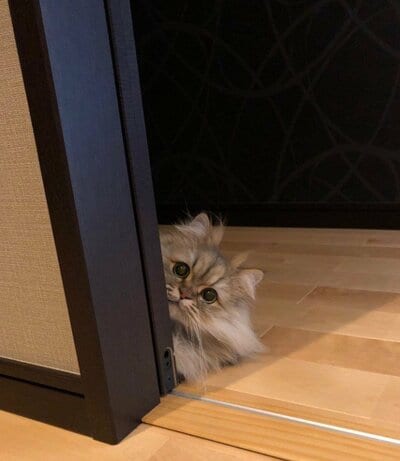 サスペンスドラマのワンシーンのよう？！