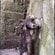 「病気だから」と豚小屋に隠されていた生後7週間の子犬、保護から始まった懸命の治療にSNSで反響