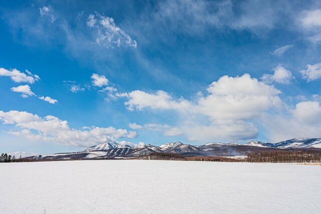 北海道で撮影された1羽のシマエナガ　普段はあまり見られない「物憂げな表情」に驚きの声