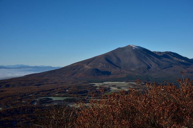 浅間山の斜面に見える「アリのような行列」　ズームして判明する正体に「なかなか斬新な写真」