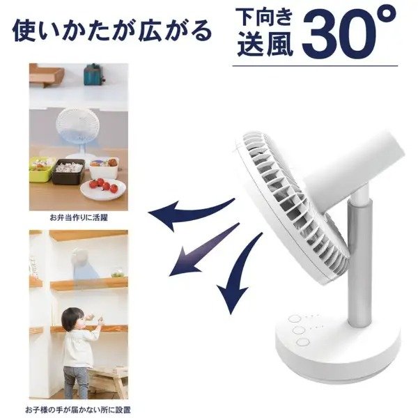 ビックカメラで買える「どこでもファンムーブ」