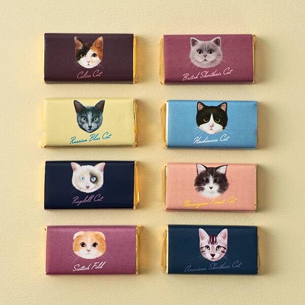 チョコレートのパッケージもおしゃれ!