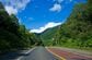 北海道・釧路での「通勤風景」を見てみると…道路を横断する「ツルの親子」に反響が集まる