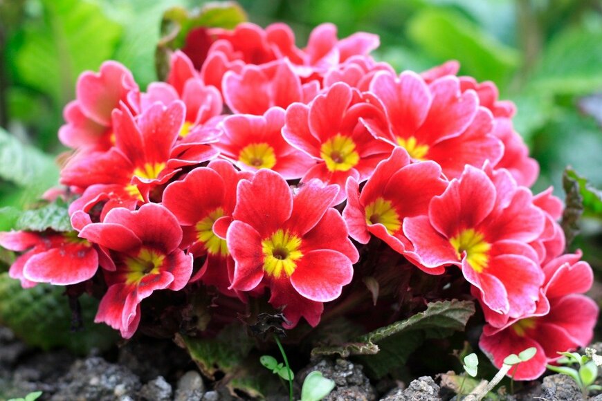 PaulMaguire/istockphoto.com