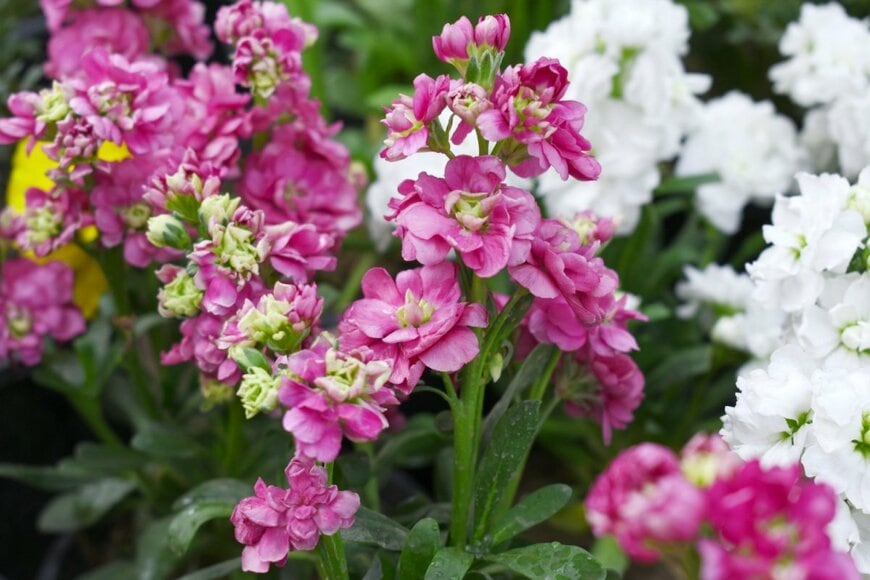 Nature's clicks/shutterstock.com