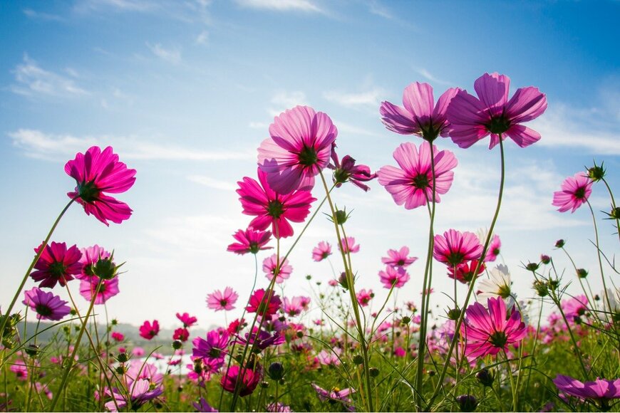 Dookfish/istockphoto.com