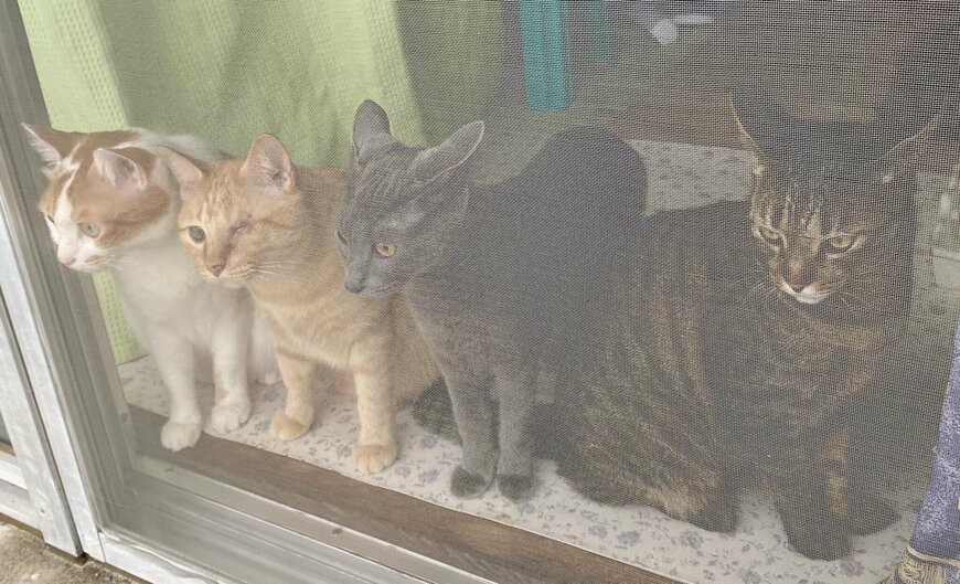 出所：@luna7taka9