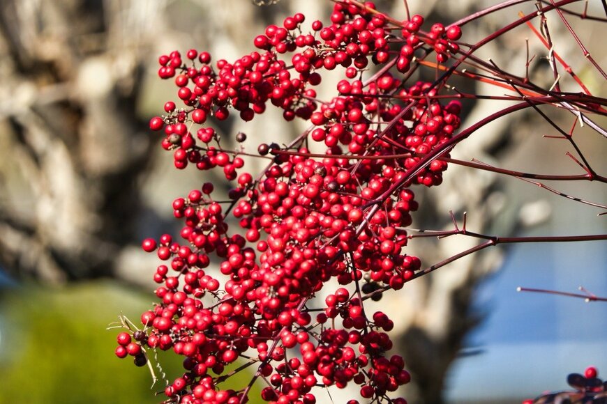 n-s-d/istockphoto.com