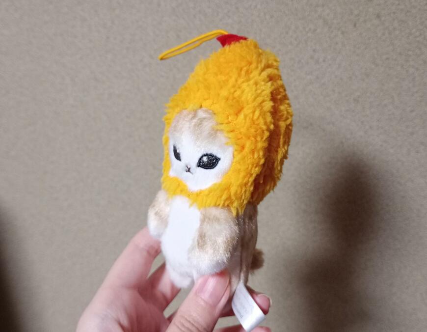 筆者撮影（セリア、窓付きポーチ 長方形）