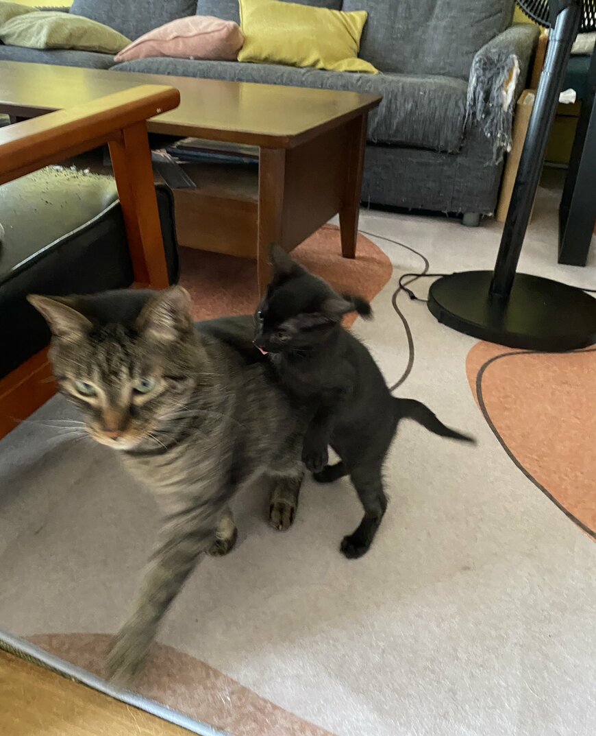 出所：@00shitemita