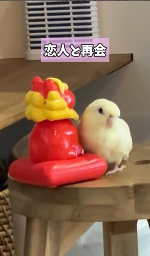 出所：@daiinkoteikoku_soraoto