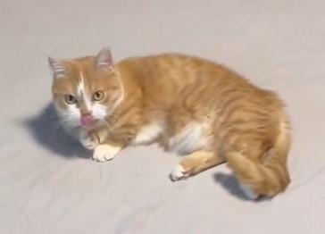 出所：@kotaro_0315