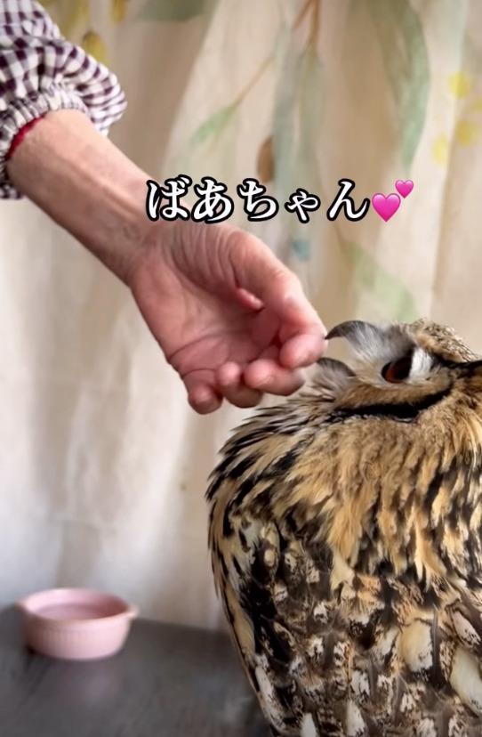 出所：@ba_chantolatte