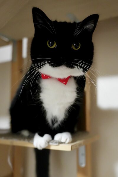 出所：@unicouniuni3