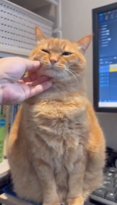 出所：@kagisuzu0531