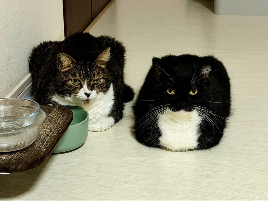 出所：@unicouniuni3