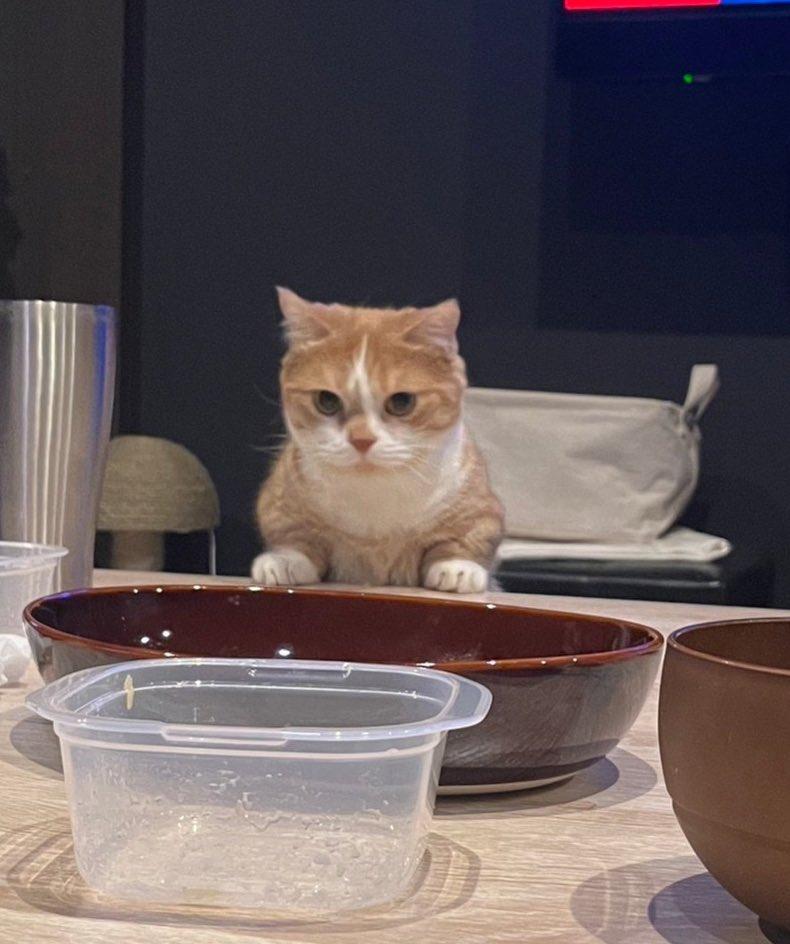 出所：@kotaro_0315