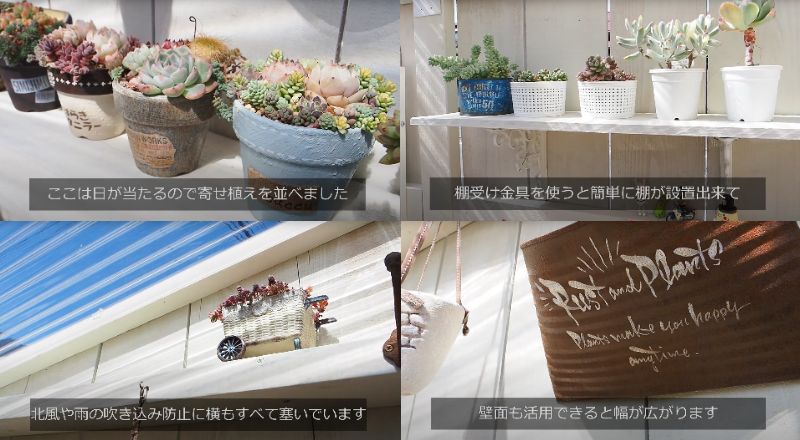 出所：@oliveandsucculentgarden