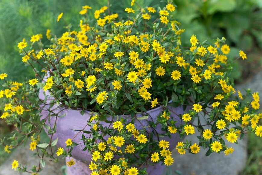 Ludmila Kapustkina/istockphoto.com