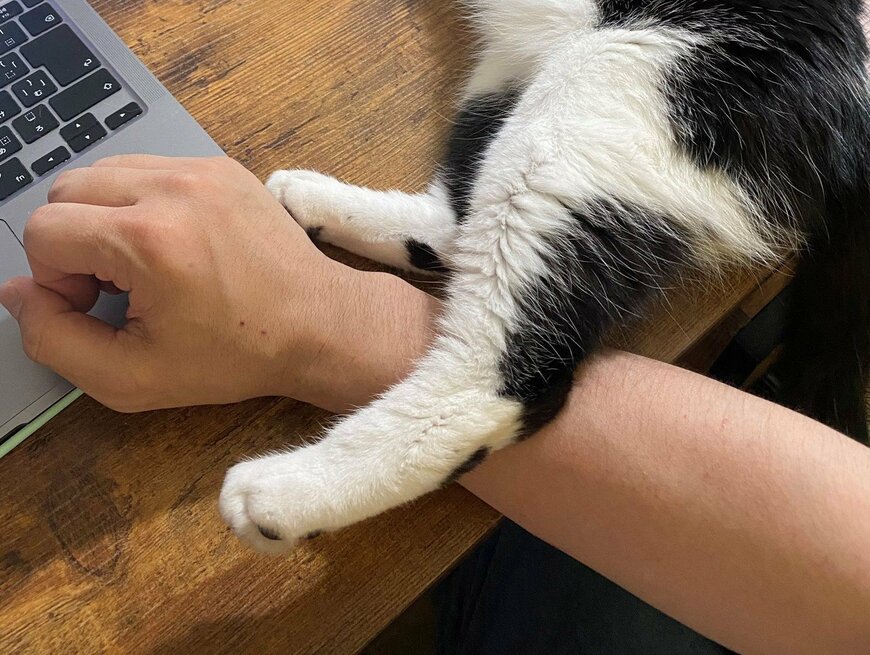 出所：@00shitemita