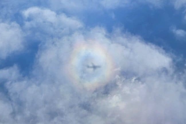 飛行機から見た「ブロッケン現象」がすごい！輝く虹の輪に「なんとなく縁起が良いやね～」