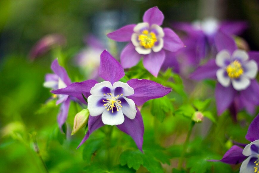 ejhuynh/istockphoto.com