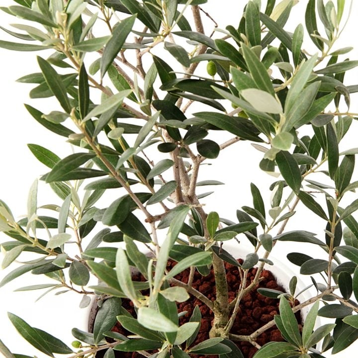 画像出所：無印良品公式オンラインストア