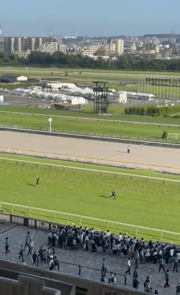 東京競馬場で撮影された一コマ