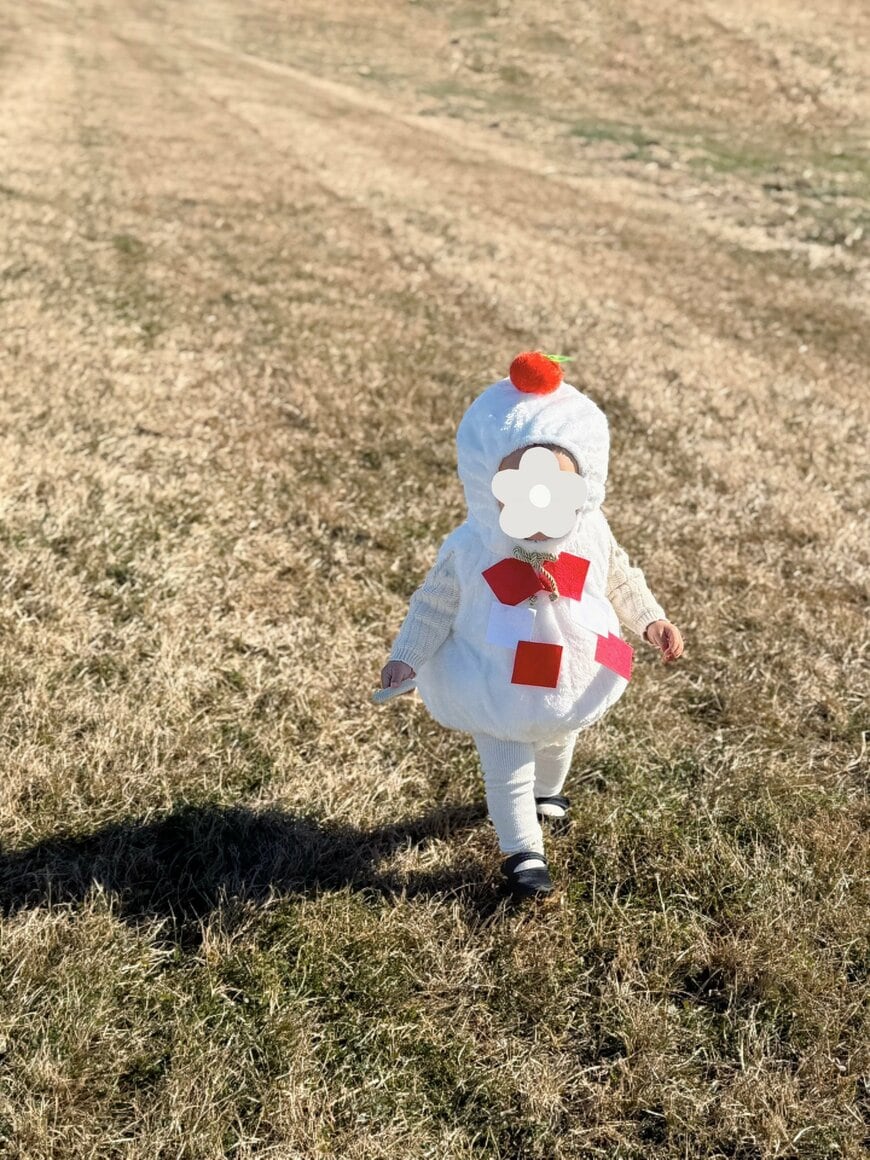 鏡餅の大冒険が始まる…