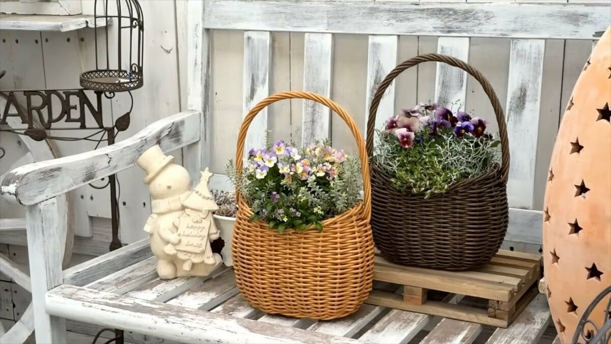 ビオラが主役【センスのいいバスケット寄せ植え】初心者でも「たった4