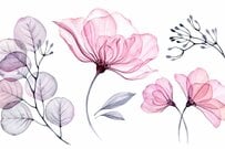 年金から天引きされるお金5選。手取りはいくらか「年金振込通知書」で確認を