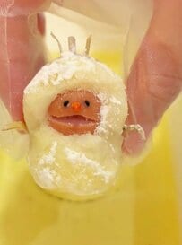 高校生の息子に母が作った「愛情弁当」にハプニング!? 可愛い「雪だるまキャラ」が……まさかの「日焼け姿」に思わず笑ってしまう