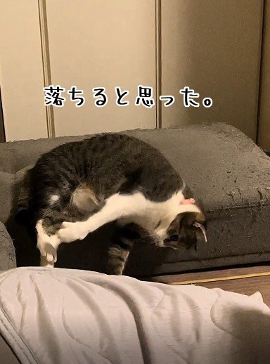 投稿の画像