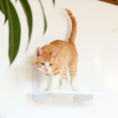 キャットステップ(幅35cm ホワイト CATROAD+)
