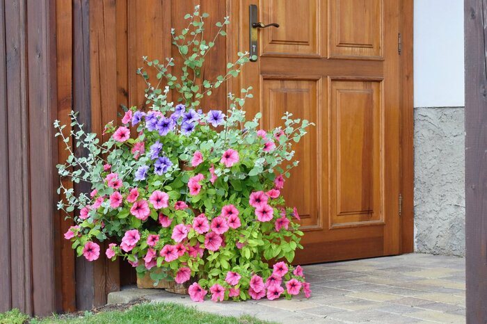 Tunatura/Shutterstock.com