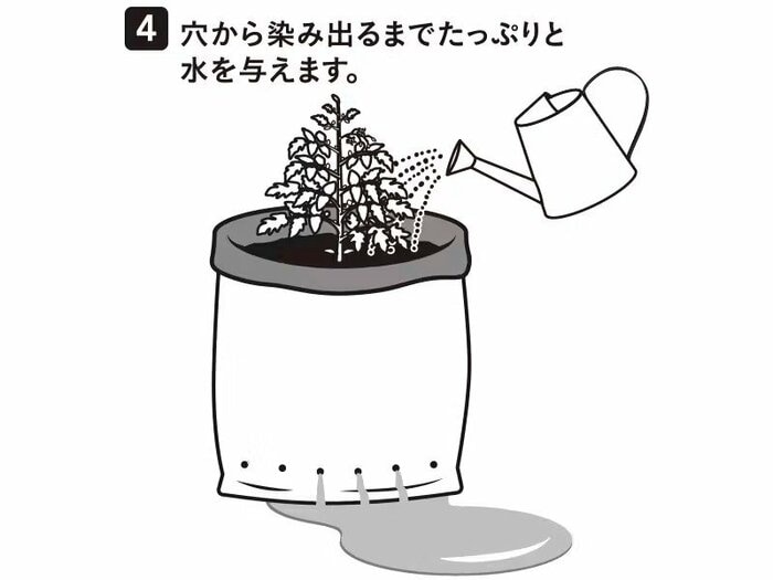 土を別の容器に移す作業も必要ありません