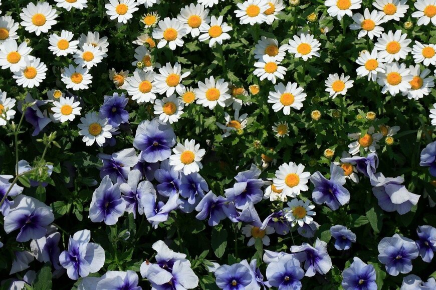 gyro/istockphoto.com