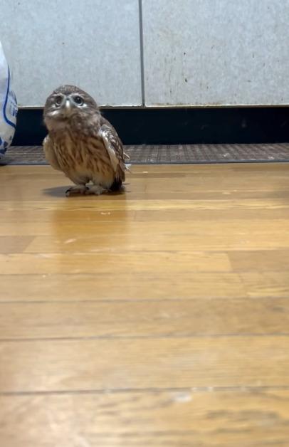 出所：@cr8673.hiro