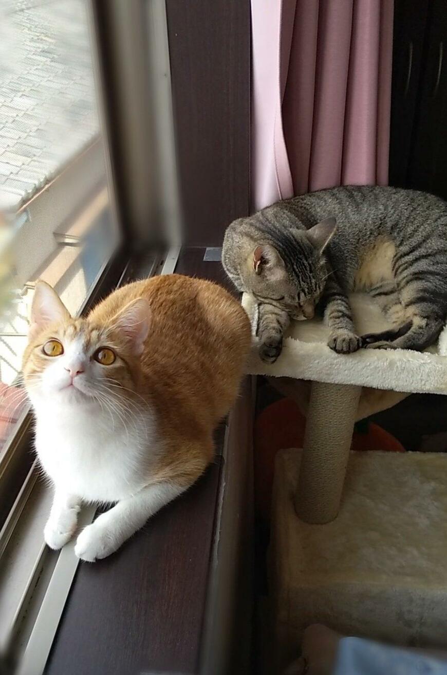 出所：@mero627puri914