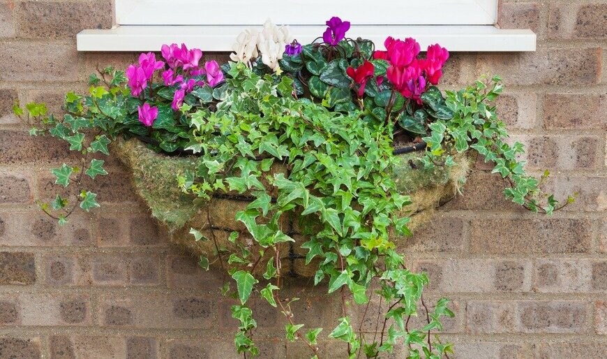 vau902/istockphoto.com